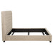 chloe-panel-bed
