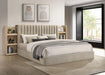 arielle-bookcase-bed