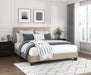 newberry-bed
