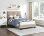 newberry-bed