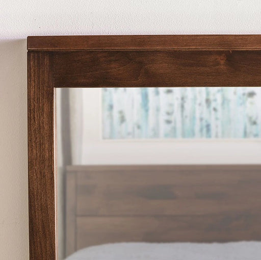 willamette-mirror2