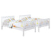 chapman-bunk-bed
