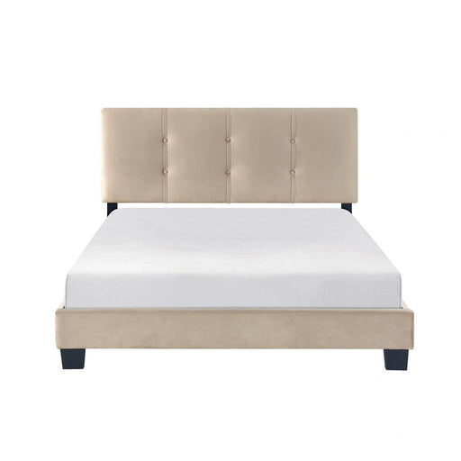 newberry-bed