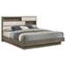 fenwick-bookcase-platform-bed