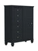 sandy-beach-black-door-dresser-with-concealed-storage