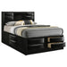 briana-transitional-black-queen-bed