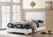 felicity-contemporary-glossy-white-lighted-eastern-king-queen-calking-bed
