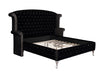 deanna-contemporary-queen-king-bed