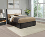 leandro-wingback-bed