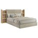 arielle-bookcase-bed