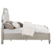 evangeline-tufted-upholstered-platform-bed-ivory-and-silver-oak