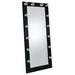 zayan-floor-mirror-with-led-lighting