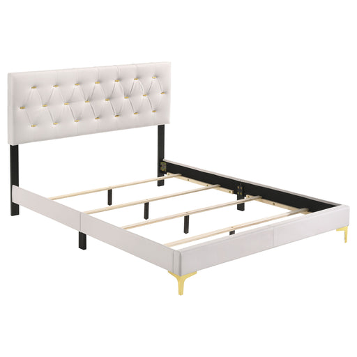kendall-panel-bed-eking-queen-black-white