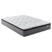 hayes-medium-plush-pillow-top-hybrid-mattress
