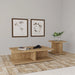 cortona-coffee-table-set