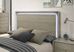 rainier-eking-bed