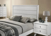 dortmund-bed