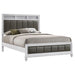 barzini-panel-bed