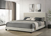 dorian-panel-bed