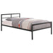 fisher-twin-bed