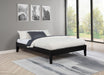 hounslow-cappuccino-california-king-eking-queen-platform-bed