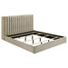 arielle-bookcase-bed