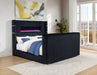 tisdall-wingback-tv-bed-with-flame-visualizer