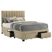 wheatland-panel-platform-storage-bed