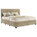 wheatland-panel-platform-storage-bed