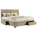 wheatland-panel-platform-storage-bed