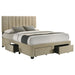 wheatland-panel-platform-storage-bed