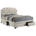 marianna-panel-platform-storage-bed