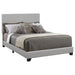 dorian-panel-bed