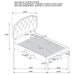 marianna-panel-platform-storage-bed