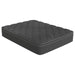 jayden-15-5-queen-mattress-grey-and-black