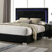sinistra-bed-bk