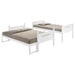 littleton-bunk-bed