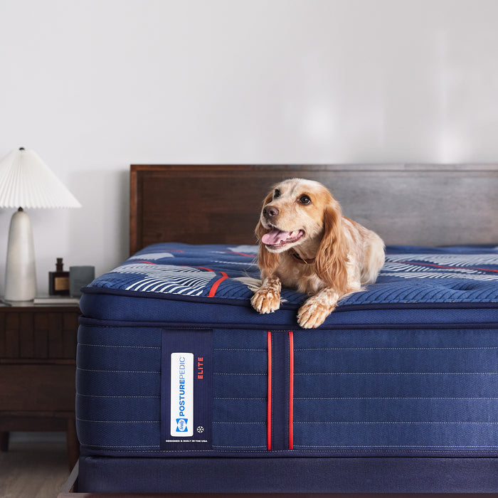 Sealy Posturepedic® Elite Albany II Soft - Euro Pillowtop
