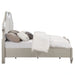 evangeline-panel-bed-with-led-lighting