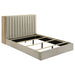 arielle-bookcase-bed
