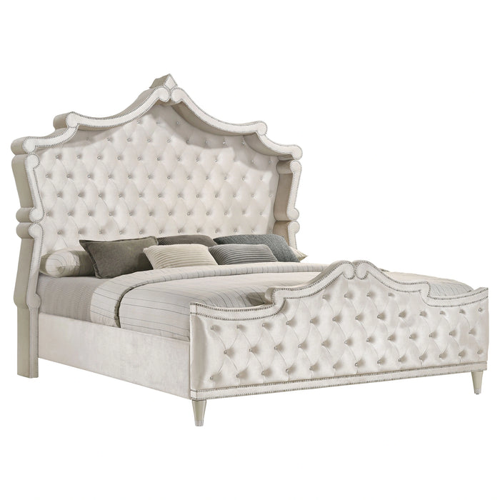 Antonella Panel Bed