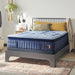 stearns-foster®-lux-hybrid-elite-firm