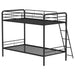 carson-bunk-bed