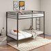 alevera-bunk-bed