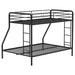 carson-bunk-bed
