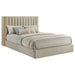 arielle-bookcase-bed