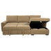 pastrana-pull-out-sleeper-sectional-sofa