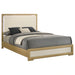 hyland-panel-bed-with-led-lighting