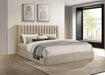 arielle-bookcase-bed