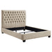 chloe-panel-bed